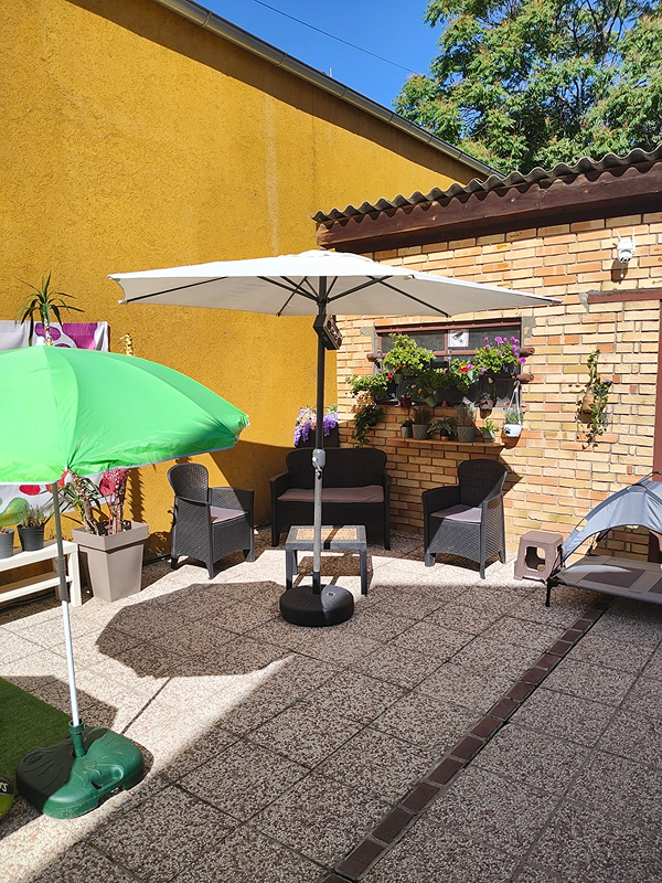 Fancy Dog Hotel Novi Sad Serbia