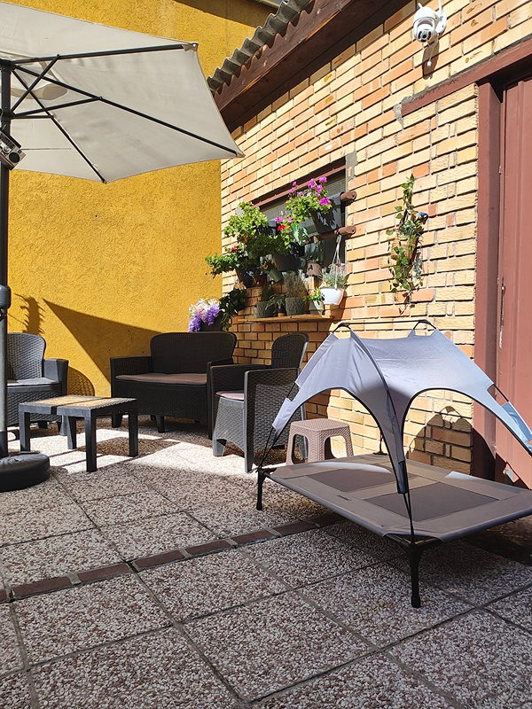 Fancy Dog Hotel Novi Sad Serbia