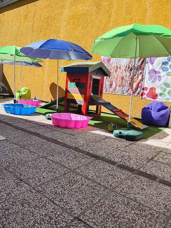 Fancy Dog Hotel Novi Sad Serbia