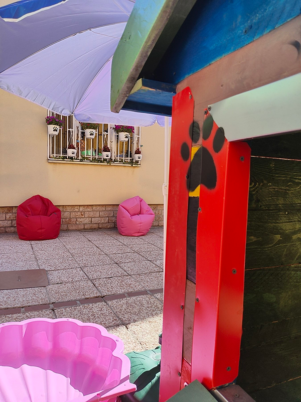 Fancy Dog Hotel Novi Sad Serbia