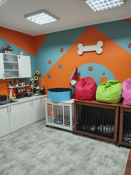 Dog boarding facility Novi Sad