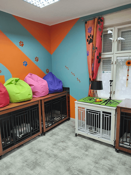 Dog hotel in Novi Sad Serbia
