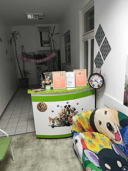 Dog hotel room Novi Sad