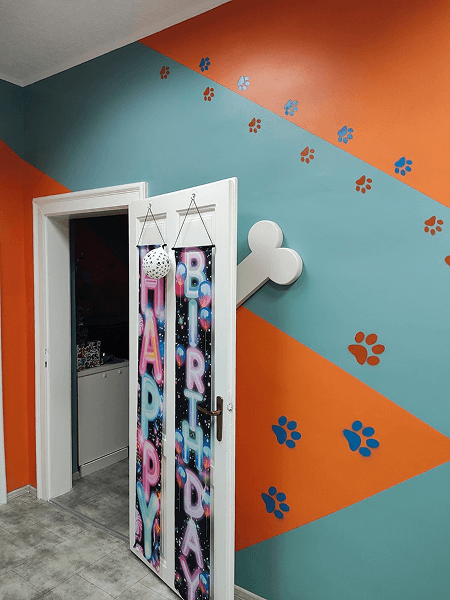 Dog play area Novi Sad