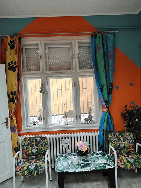 Happy dogs in hotel Novi Sad