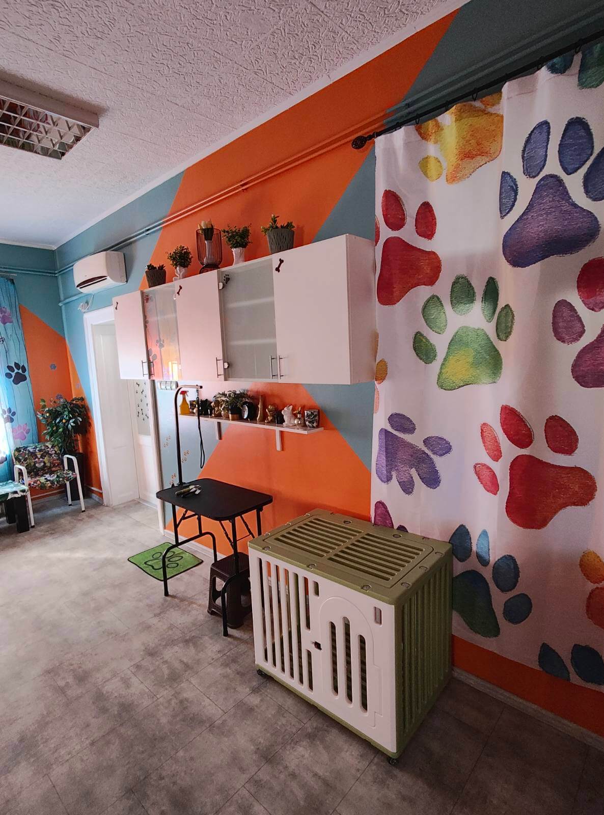 Šareni enterijer Fancy Dog Hotela