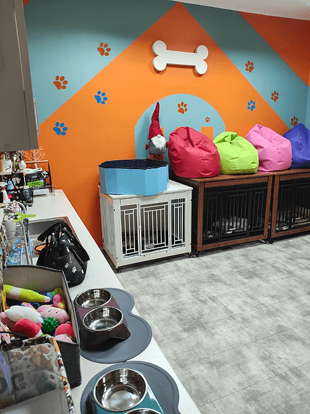 Luxury dog hotel Novi Sad