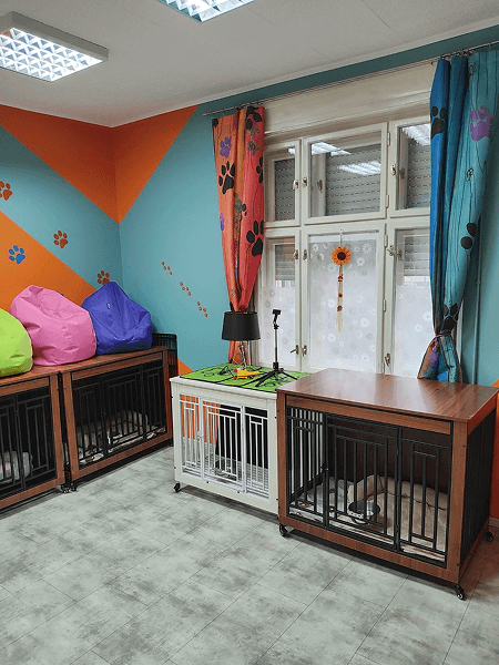 Pet boarding Novi Sad Serbia