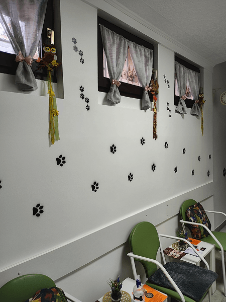 Pet care service Novi Sad